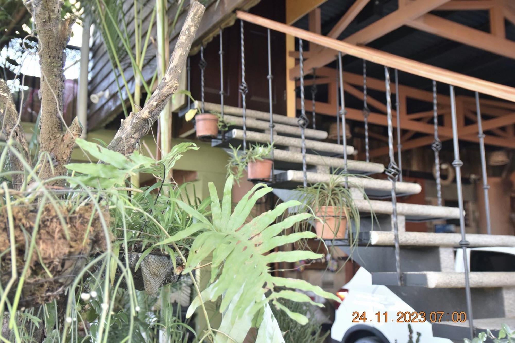 Casa Cora Appartement Heredia Buitenkant foto